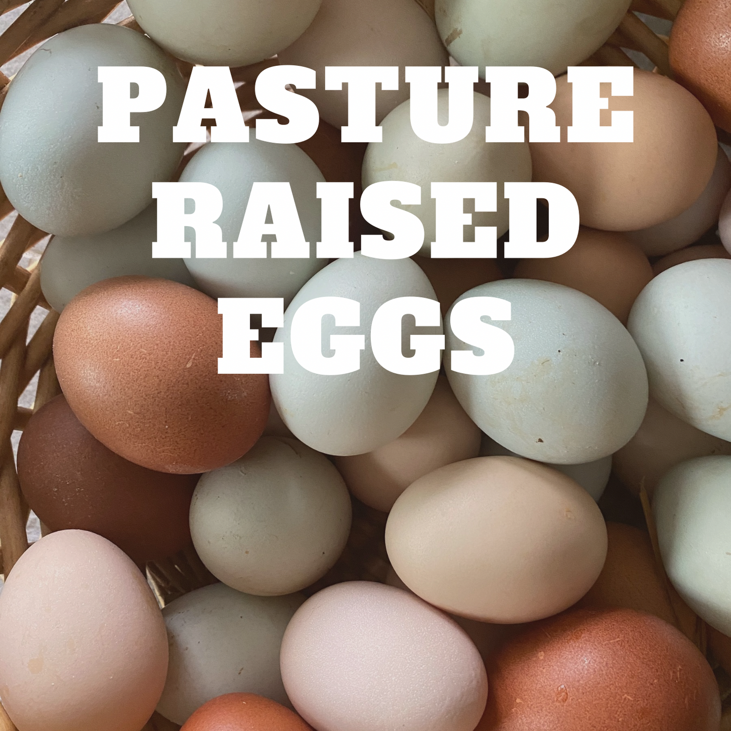 Pasture-raised eggs- 1 doz