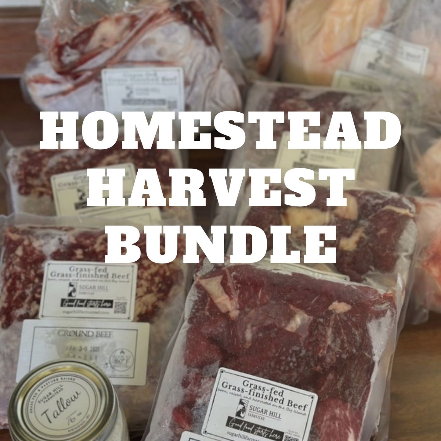 Homestead Harvest Bundle