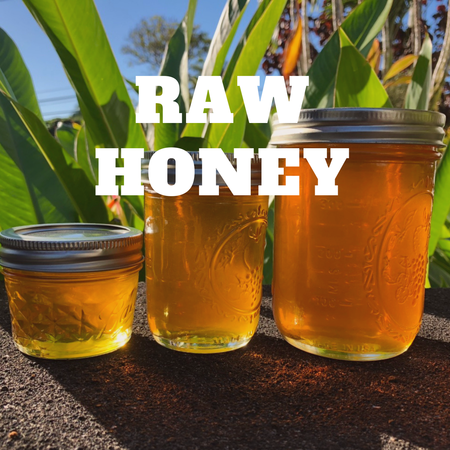 Raw Unfiltered Honey