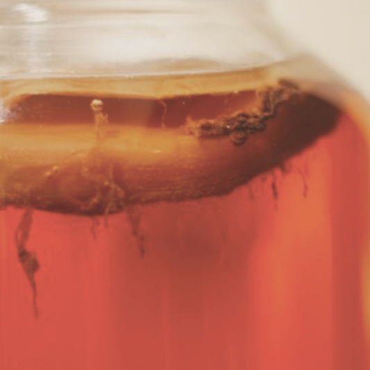 How to make your own Kombucha