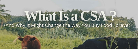 What is a CSA?