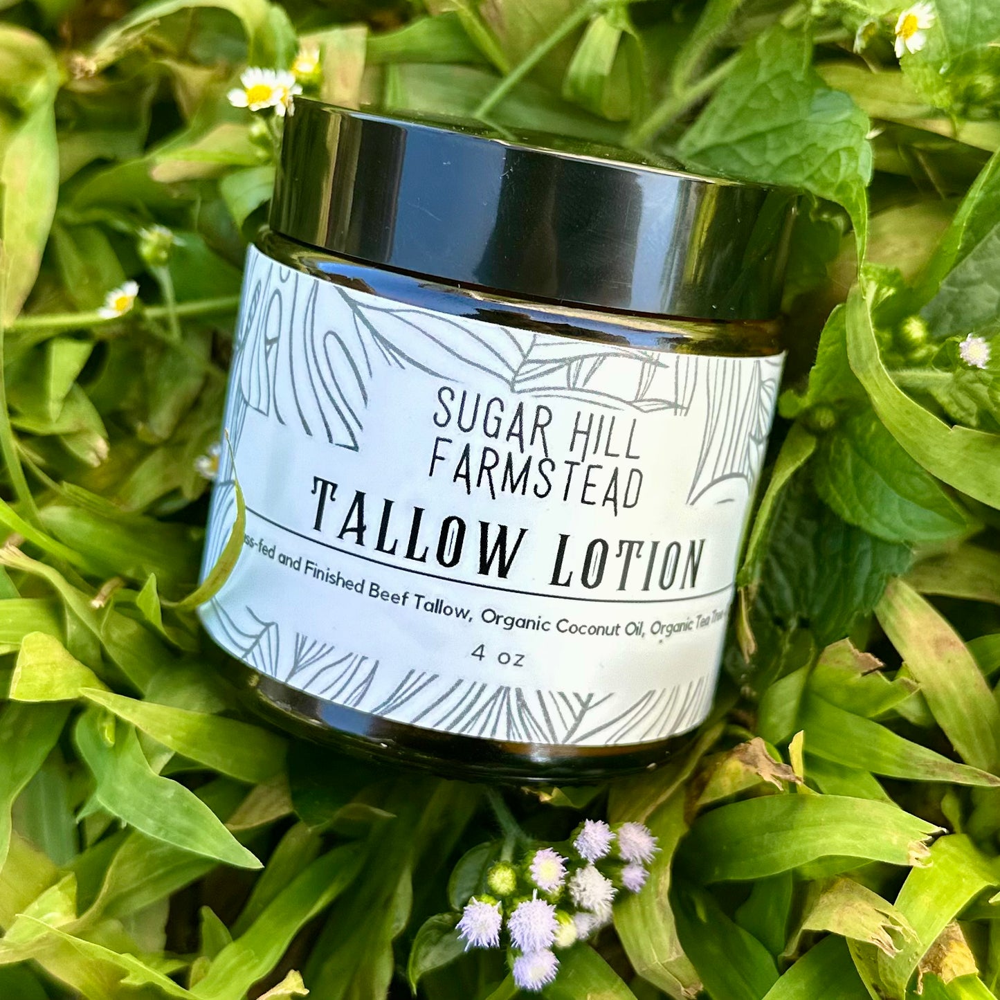 Whipped Tallow Lotion