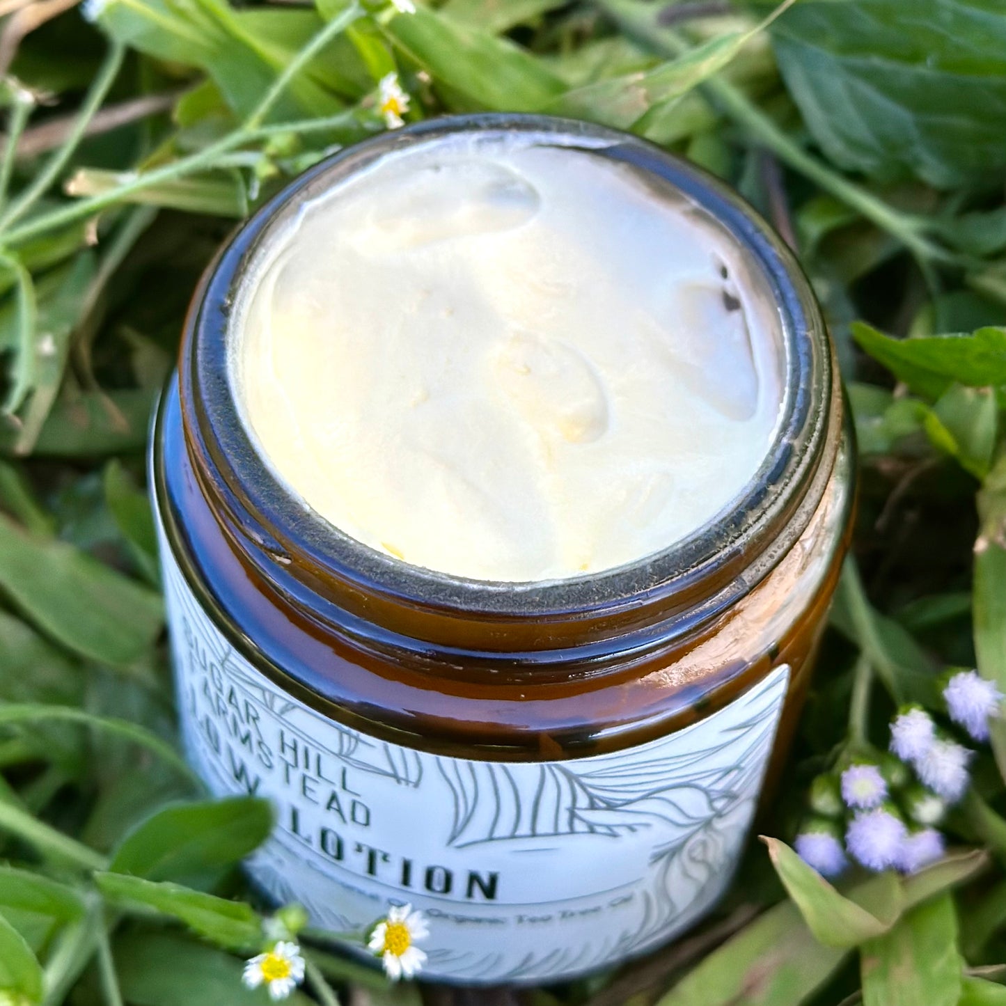 Whipped Tallow Lotion