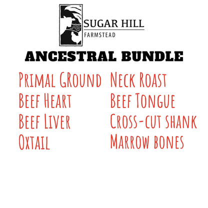 Ancestral Bundle