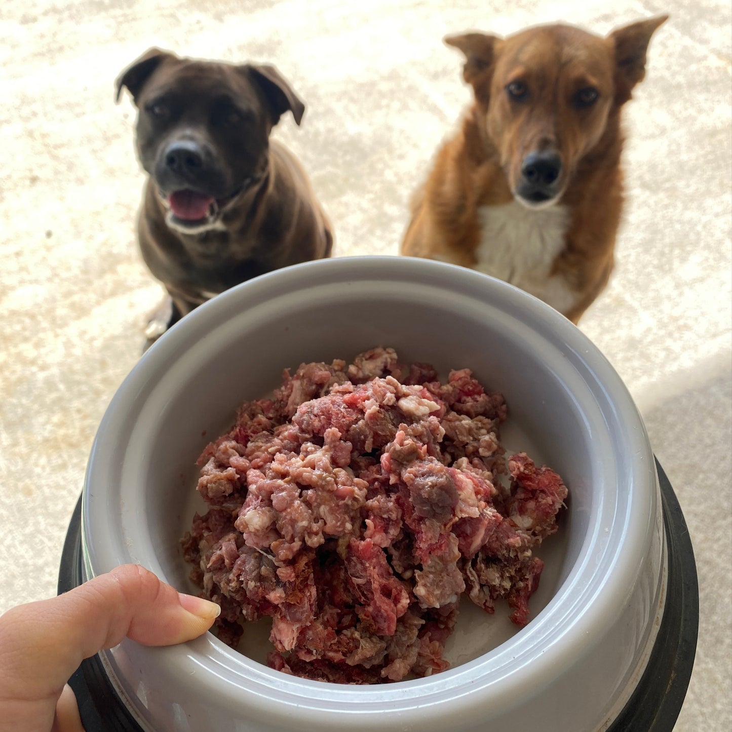 Grass-Fed Raw Pet Food-Beef