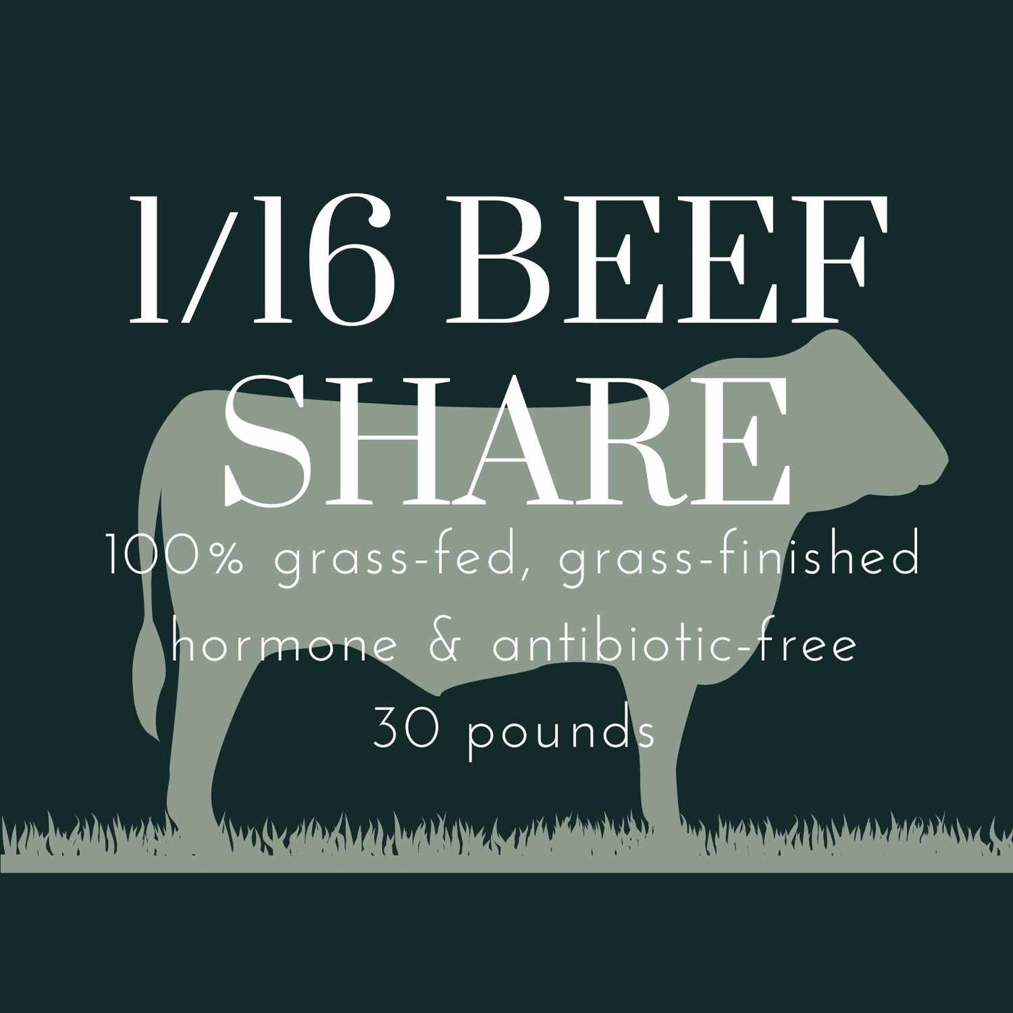 1/16th Beef Share