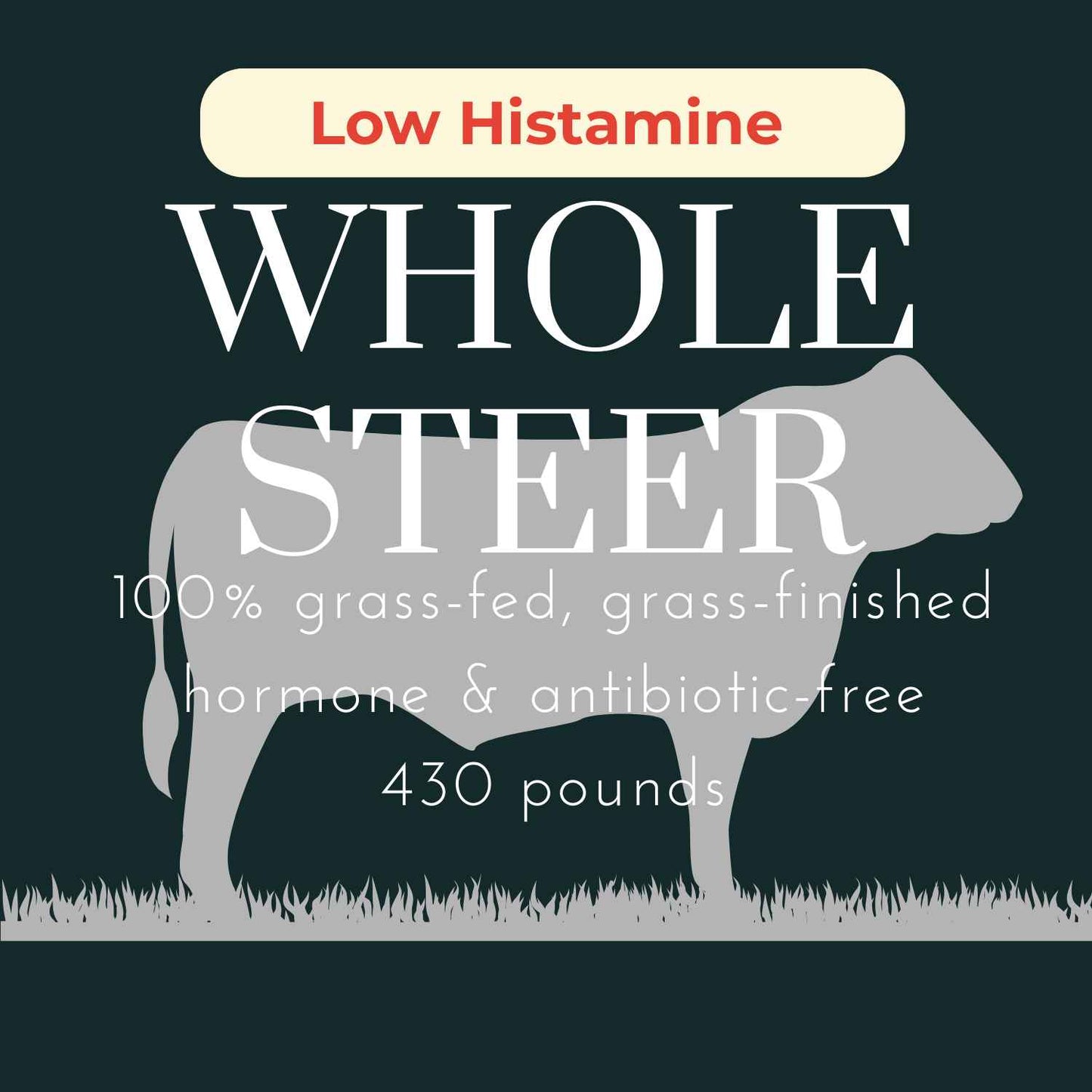 Low Histamine Whole Beef Share- Deposit
